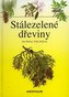Stálezelené dřeviny