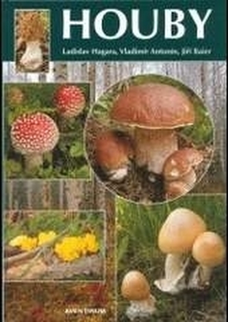 Houby