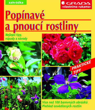 Popínavé a pnoucí rostliny