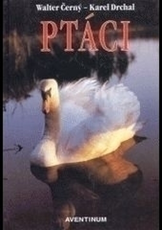 Ptáci