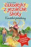 Čarodějky z jezdecké školy – Kouzelné prázdniny