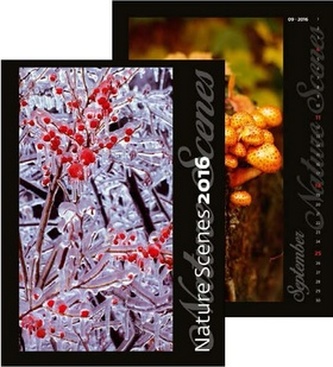 Kalendář nástěnný 2016 - Nature Scenes