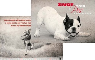 Kalendář nástěnný 2016 - Život je pes