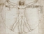 Da Vinci Drawings, 5 Kunst-Poster
