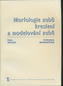 Morfologie zubů, kreslení a modelování zubů