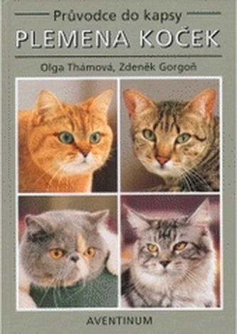 Plemena koček
