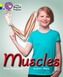 Muscles