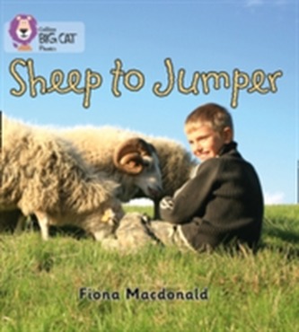 Sheep to Jumper
