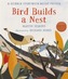 Bird Builds a Nest