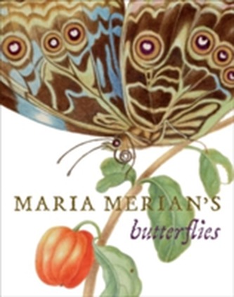 Maria Merian's Butterflys