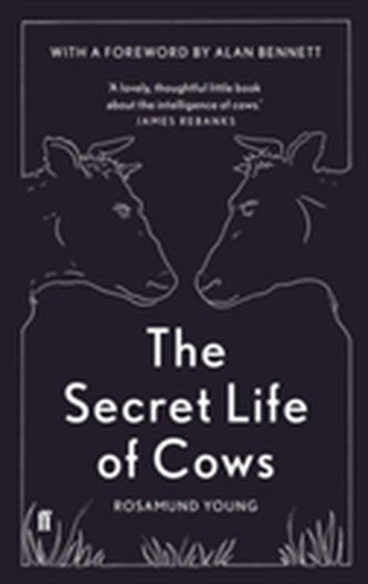 The Secret Life of Cows