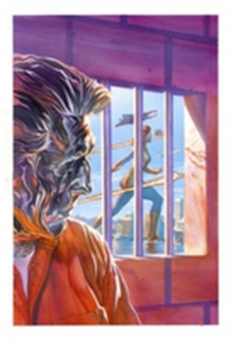 Astro City Vol. 14 Reflections