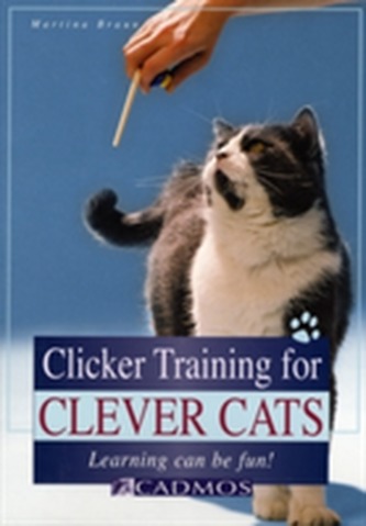 Clicker Training for Clever Cats