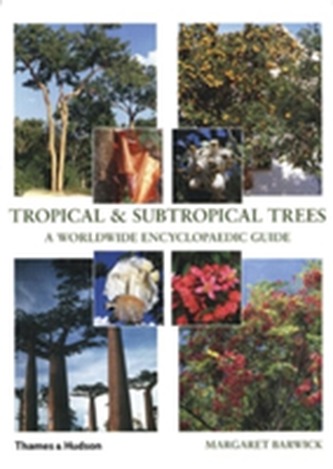 Tropical and Subtropical Trees: A Worldwide Encyclopaedic Guide