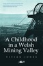 Childhood in a Welsh Mining Valley, A