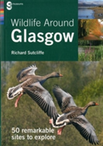Wildlife Around Glasgow