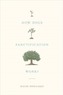 How Does Sanctification Work?