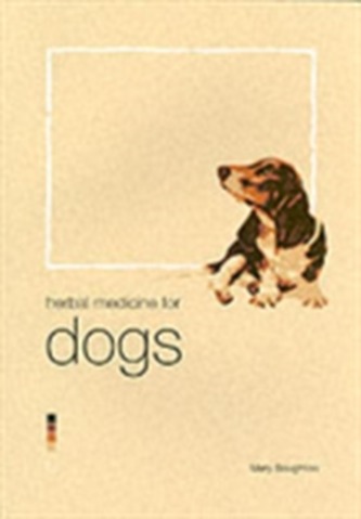 Herbal Medicine for Dogs