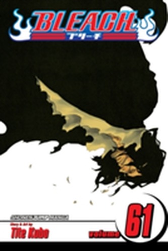 Bleach 61 (anglicky)
