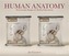 Human Anatomy