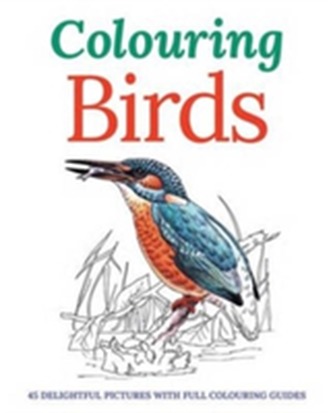 Colouring Birds