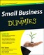 Small Business For Dummies