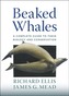 Beaked Whales