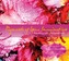 Pigments of Your Imagination