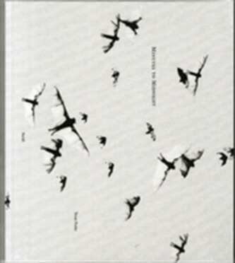 Trent Parke: Minutes to Midnight