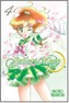 Sailor Moon Vol. 4