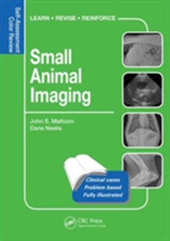 Small Animal Imaging