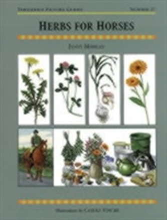 Herbs for Horses