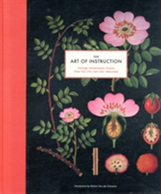 Art of Instruction Hc