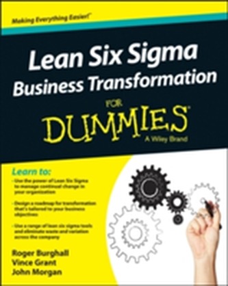 Lean Six Sigma Business Transformation for Dummies