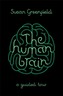 The Human Brain