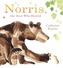 Norris the Bear Who Shared