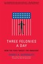 Three Felonies a Day