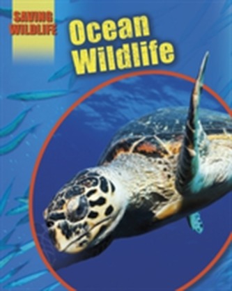 Saving Wildlife: Ocean Wildlife