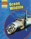 Saving Wildlife: Ocean Wildlife