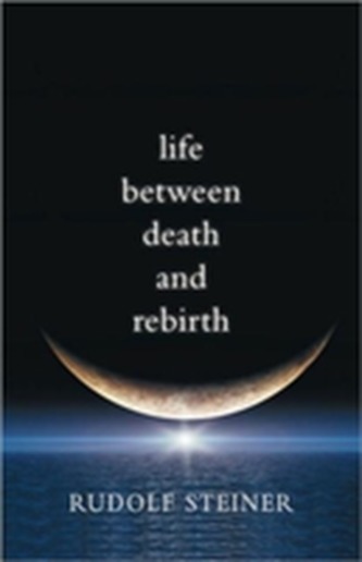 Life Between Death and Rebirth