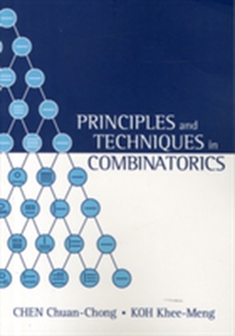 Principles And Techniques In Combinatorics