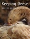 Keeping Geese