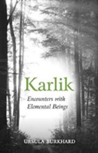 Karlik