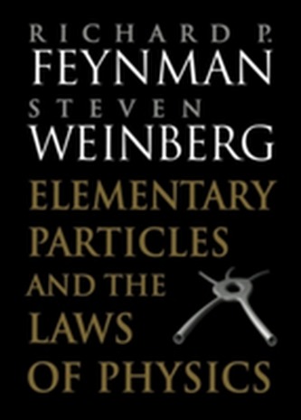 Elementary Particles and the Laws of Physics