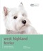 Westie - Dog Expert