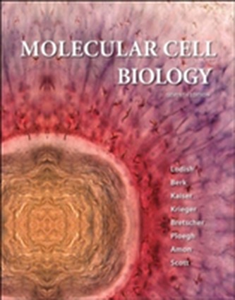 Molecular Cell Biology