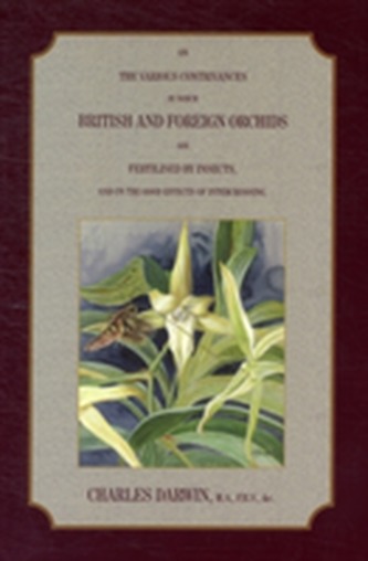 On the Various Contrivances by Which British and Foreign Orchids are Fertilised by Insects, and the Good Effects of Inte