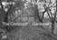 The Constant Gardener