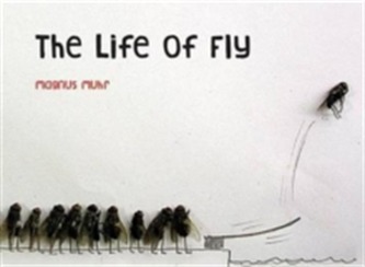 The Life of Fly