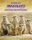 A Mob of Meerkats